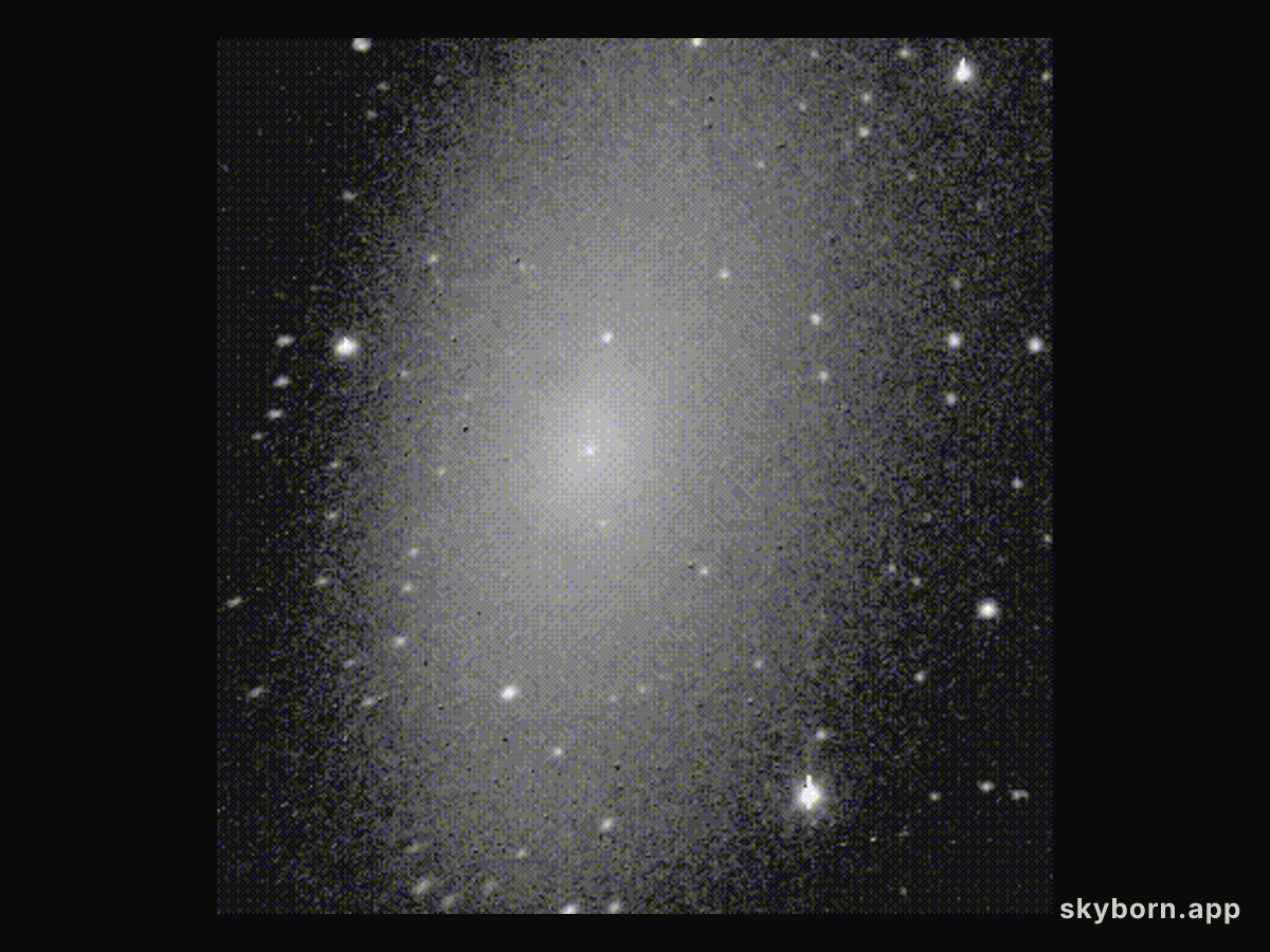 Local Group Galaxy NGC 205