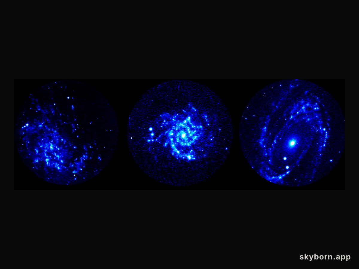 A Spiral Galaxy Gallery