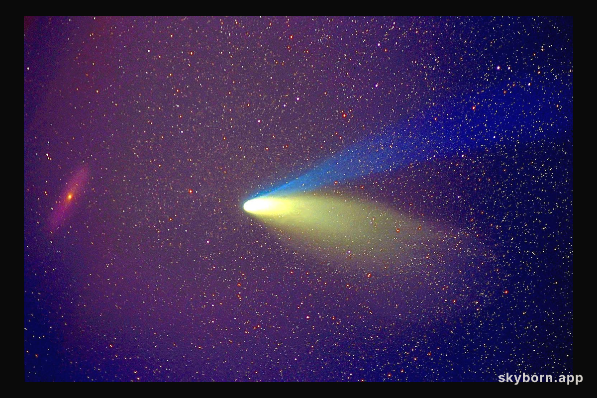 The Comet and the Galaxy