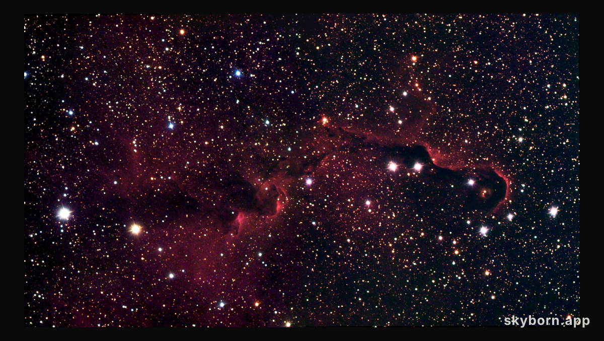 The Elephant's Trunk in IC 1396