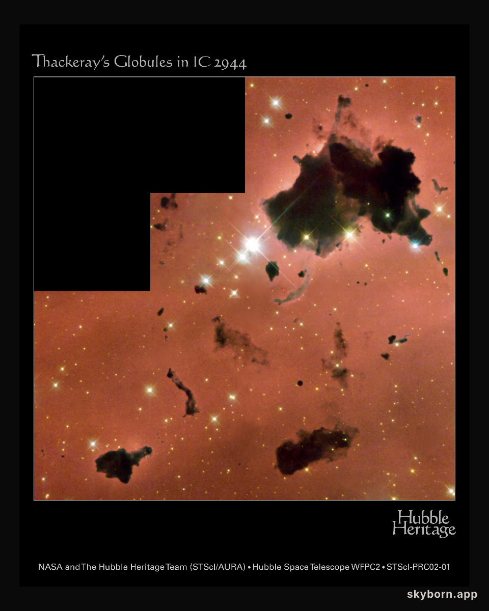 Thackeray's Globules