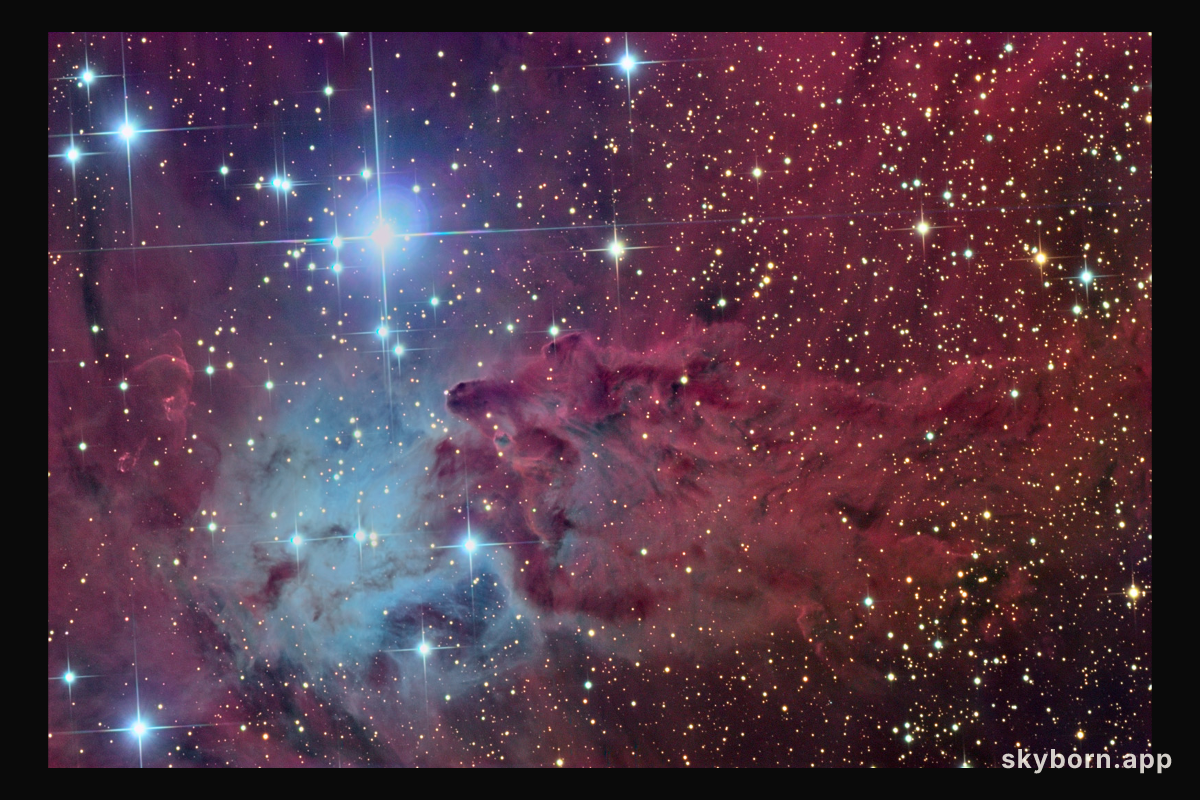 The Fox Fur Nebula