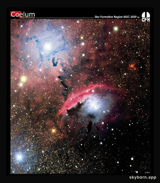 Stars, Dust and Nebula in NGC 6559