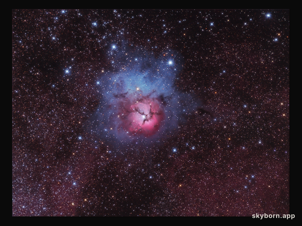 A Beautiful Trifid