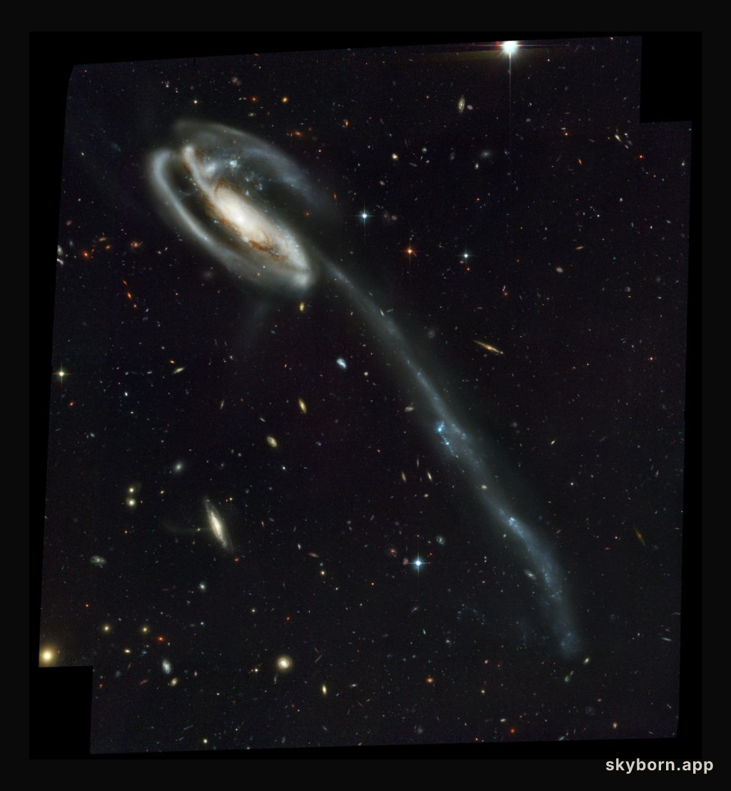Arp 188 and the Tadpole's Tidal Tail