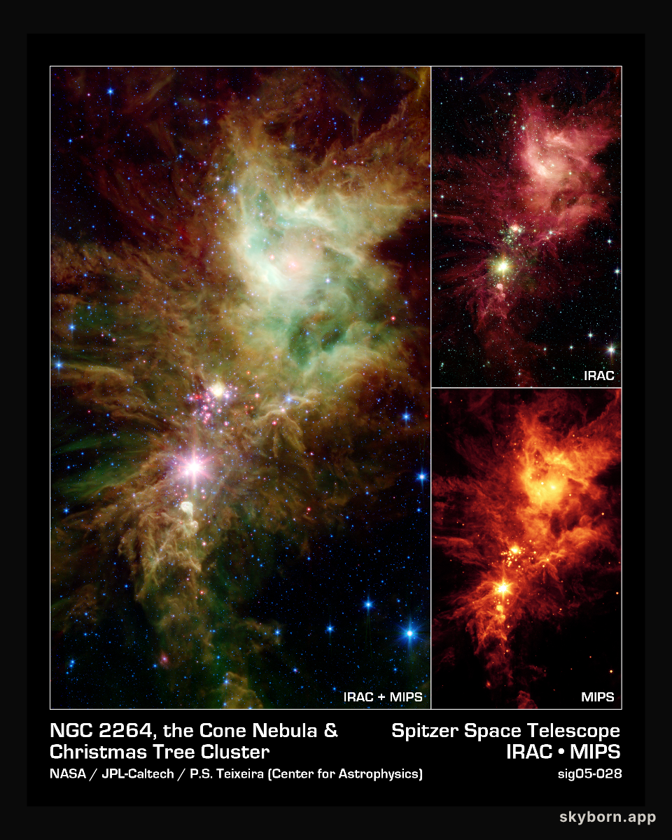 The Snowflake Cluster versus the Cone Nebula