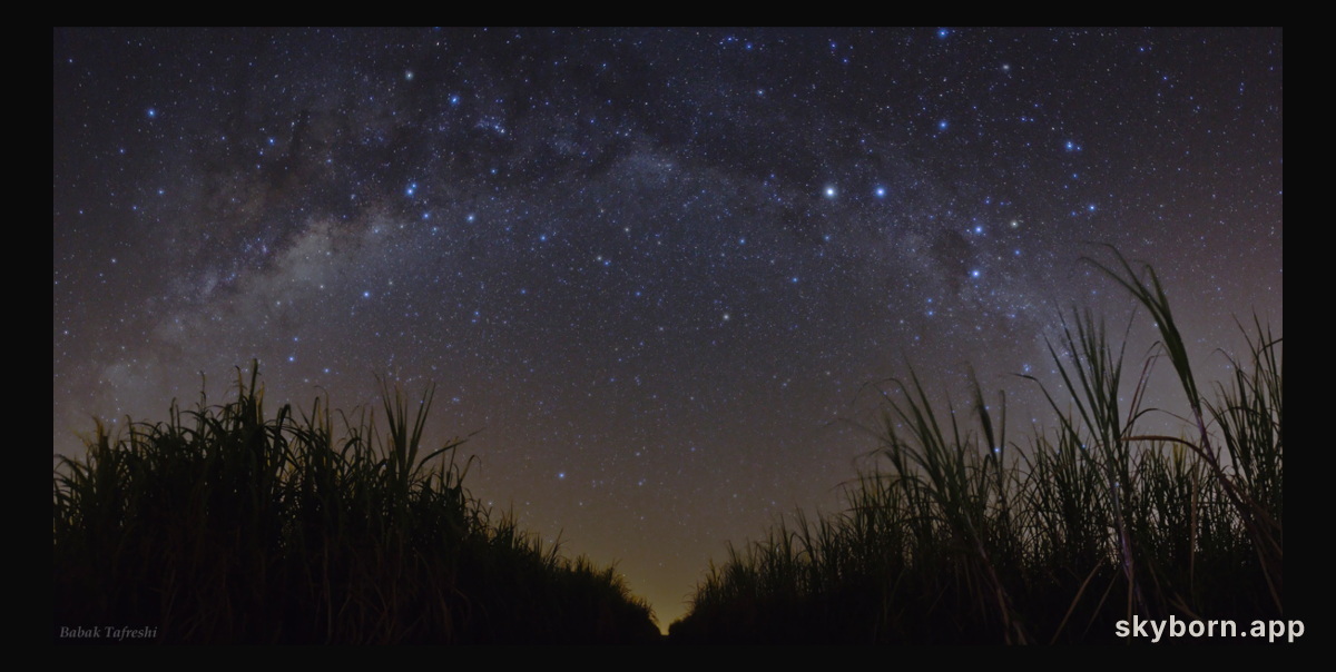 A Starry Night in Brazil