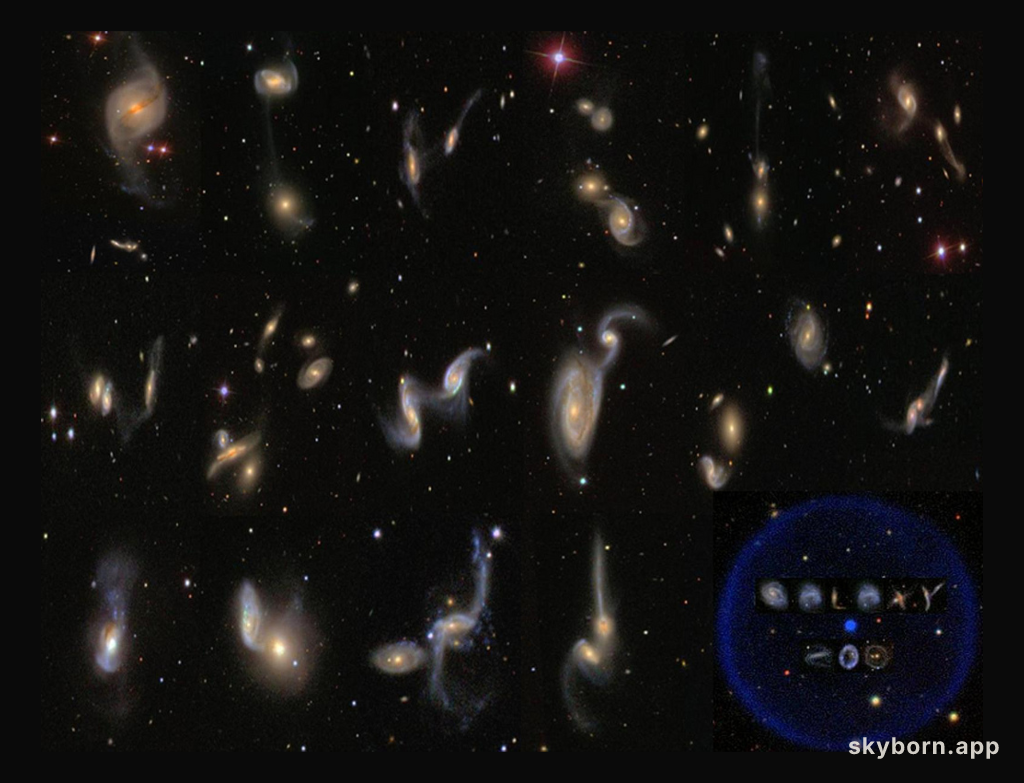 Galaxy Zoo Catalogs the Universe