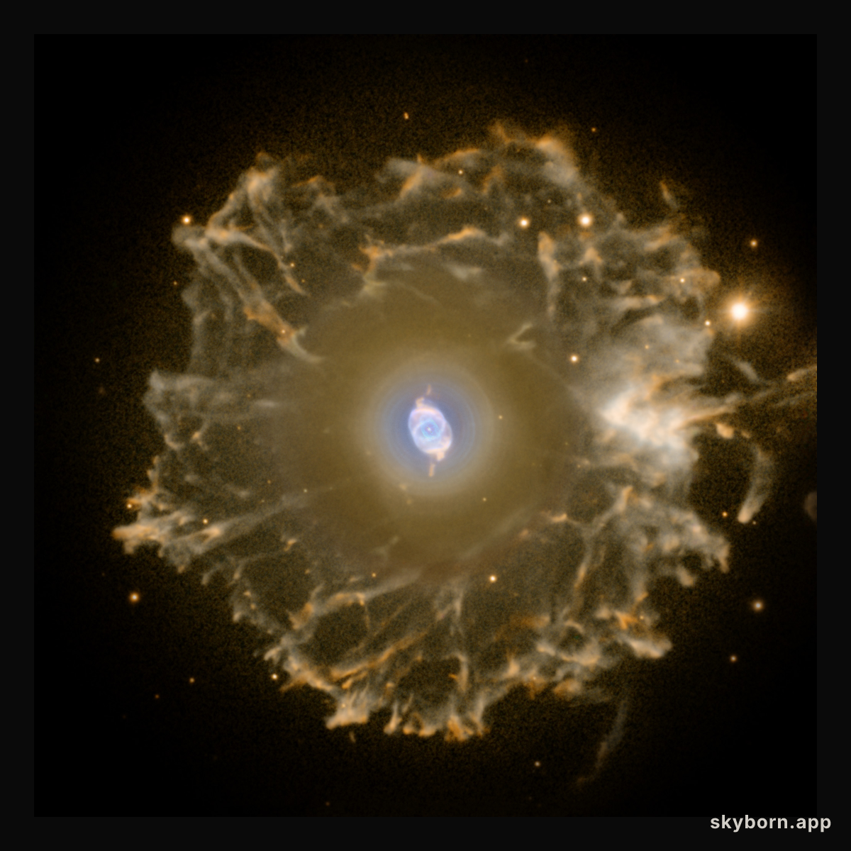 Halo of the Cat's Eye