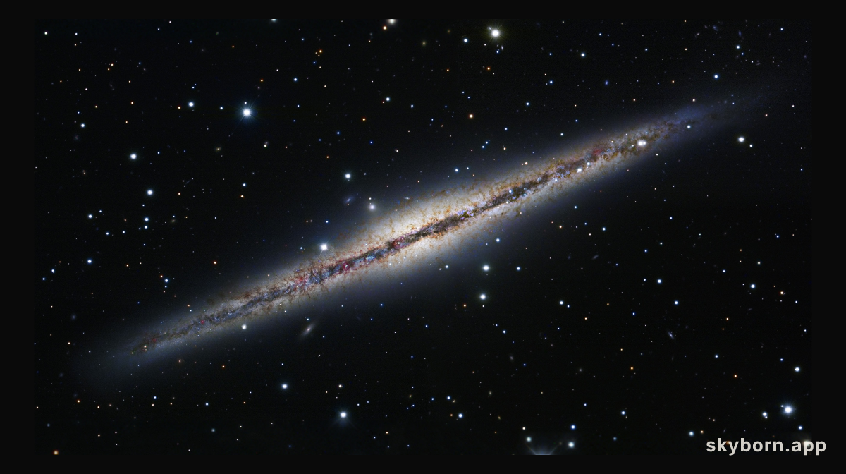At the Edge of NGC 891