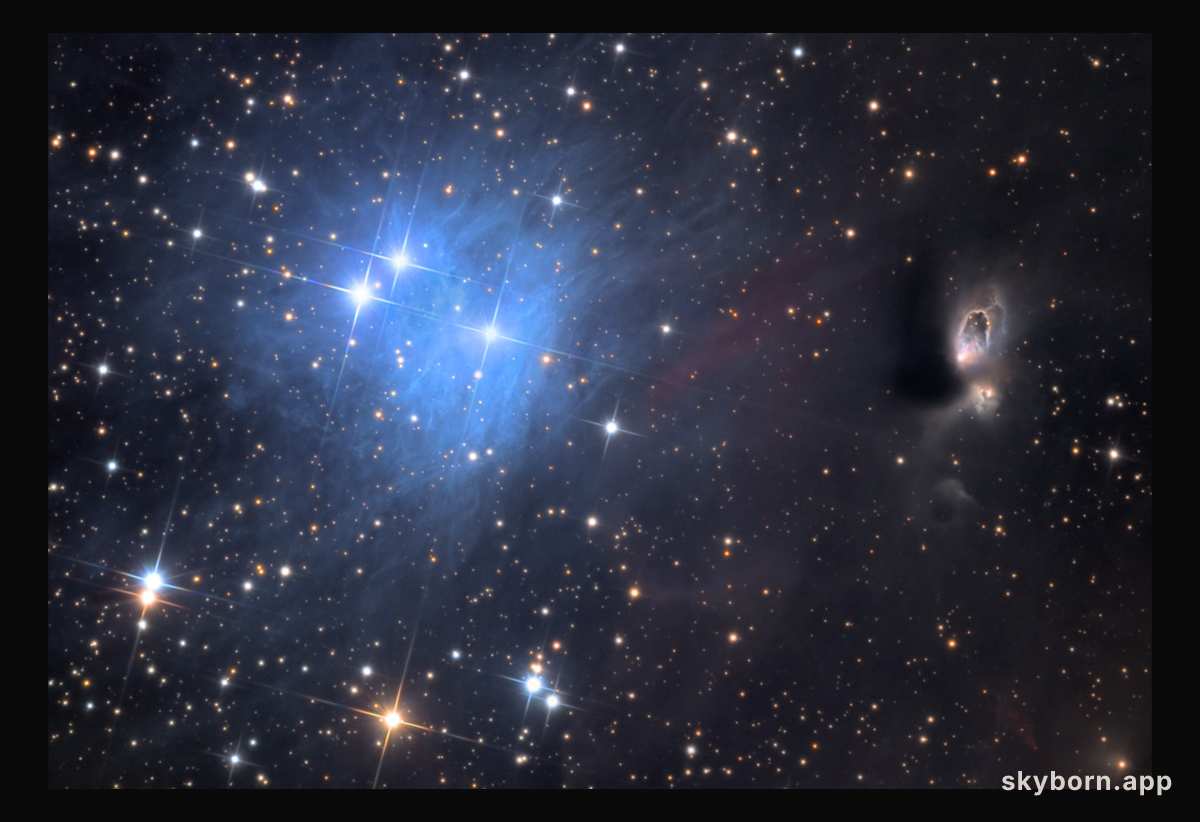 Reflection Nebula vdB1