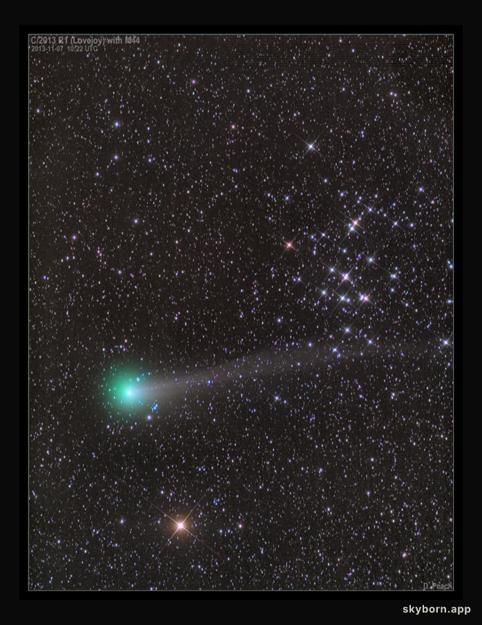 Comet Lovejoy with M44