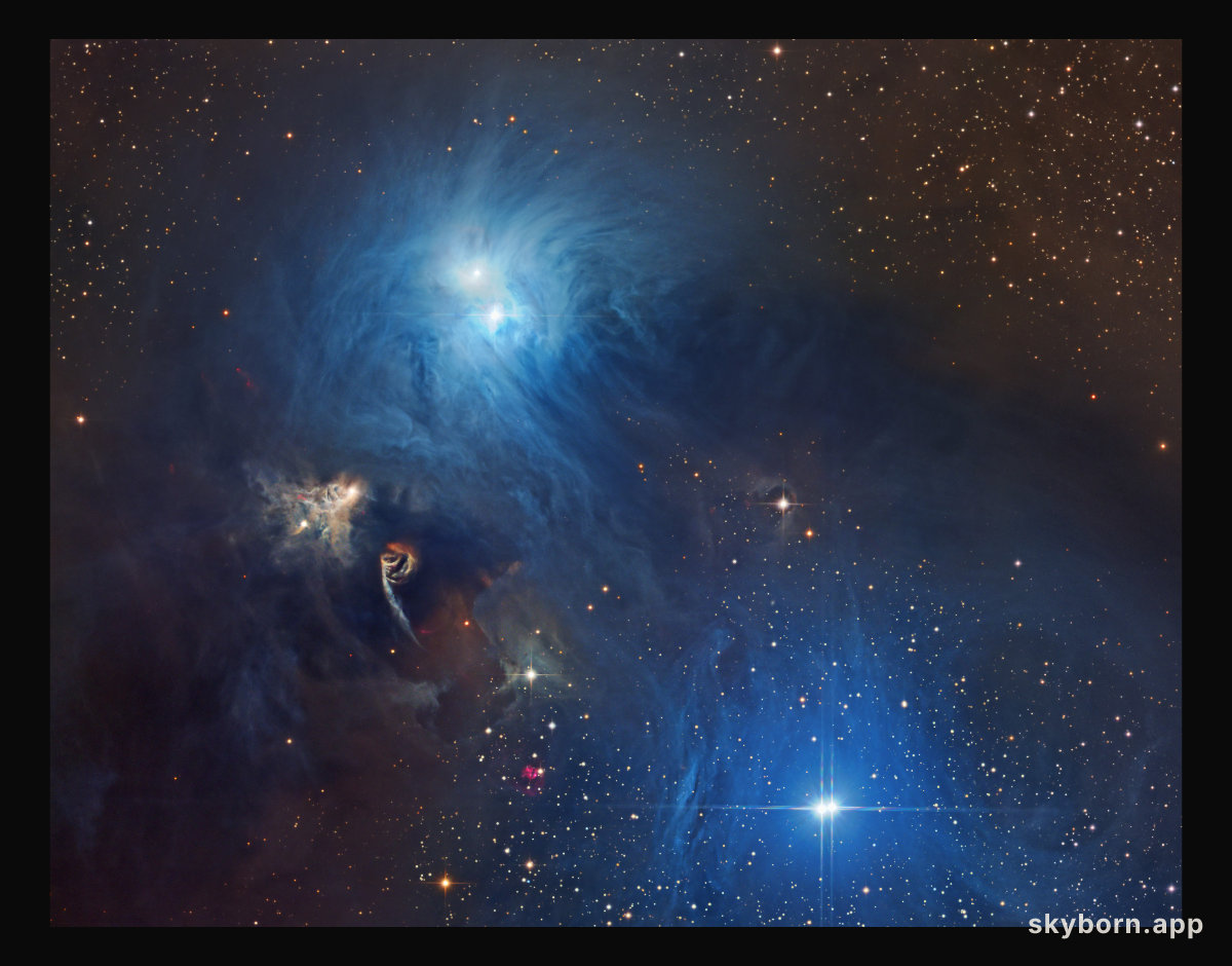 Stars and Dust in Corona Australis