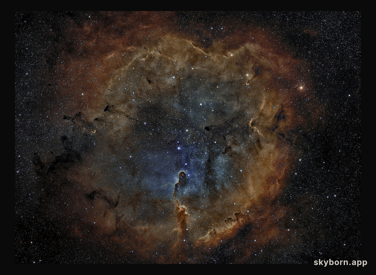IC 1396: Emission Nebula in Cepheus