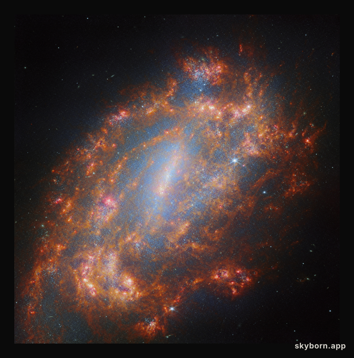 A galactic treasury