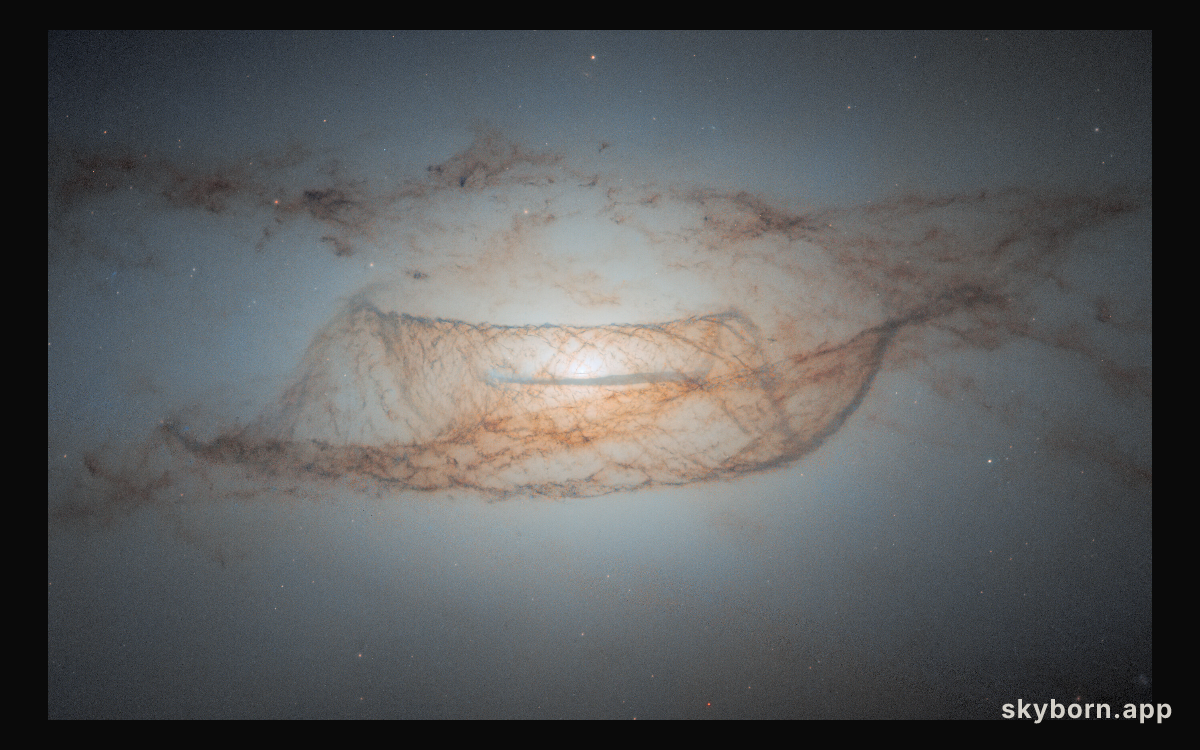 Lenticular dust in detail