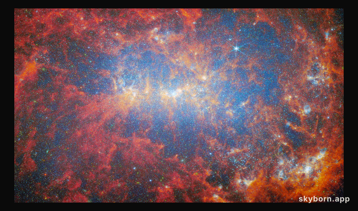 Fireworks of stellar starbursts
