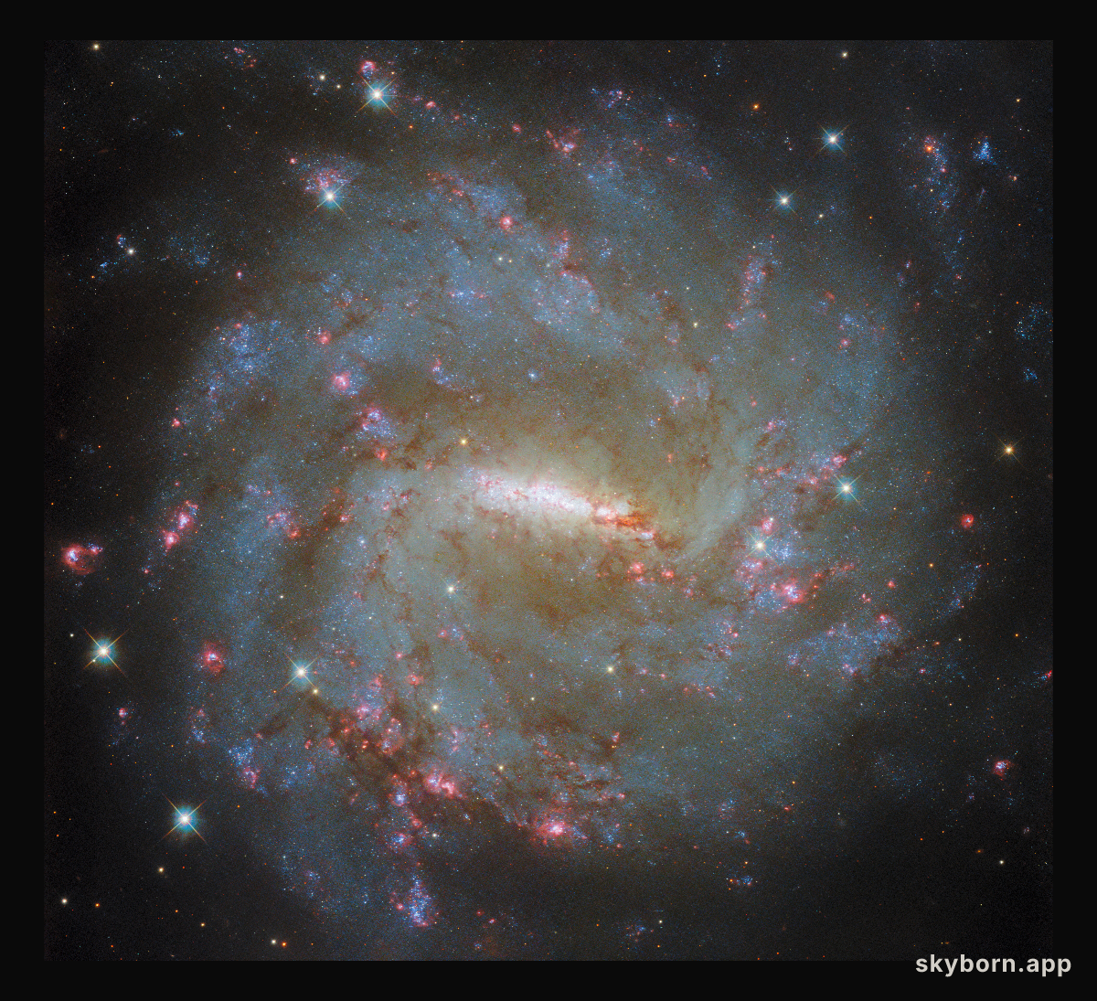 A broad and narrow galactic view