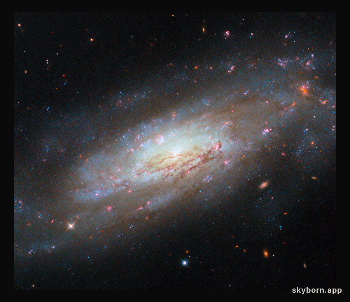 A maelstrom of matter and energy