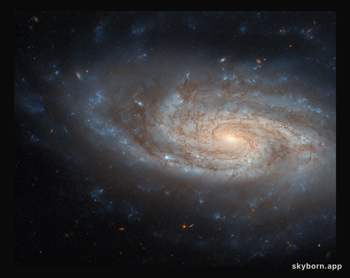 An island universe