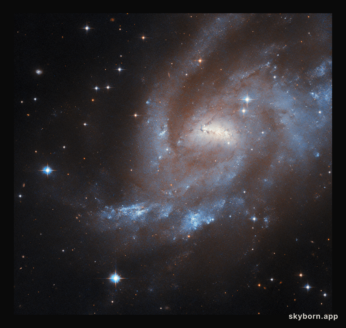 How to find newborn stars