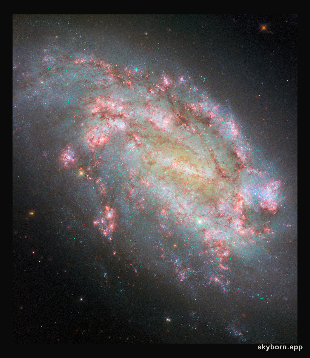 Lost in a giant stellar nursery