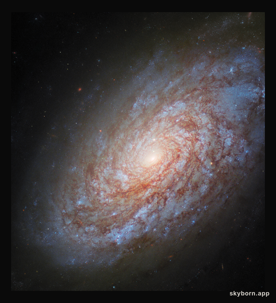 A galactic rejuvenation