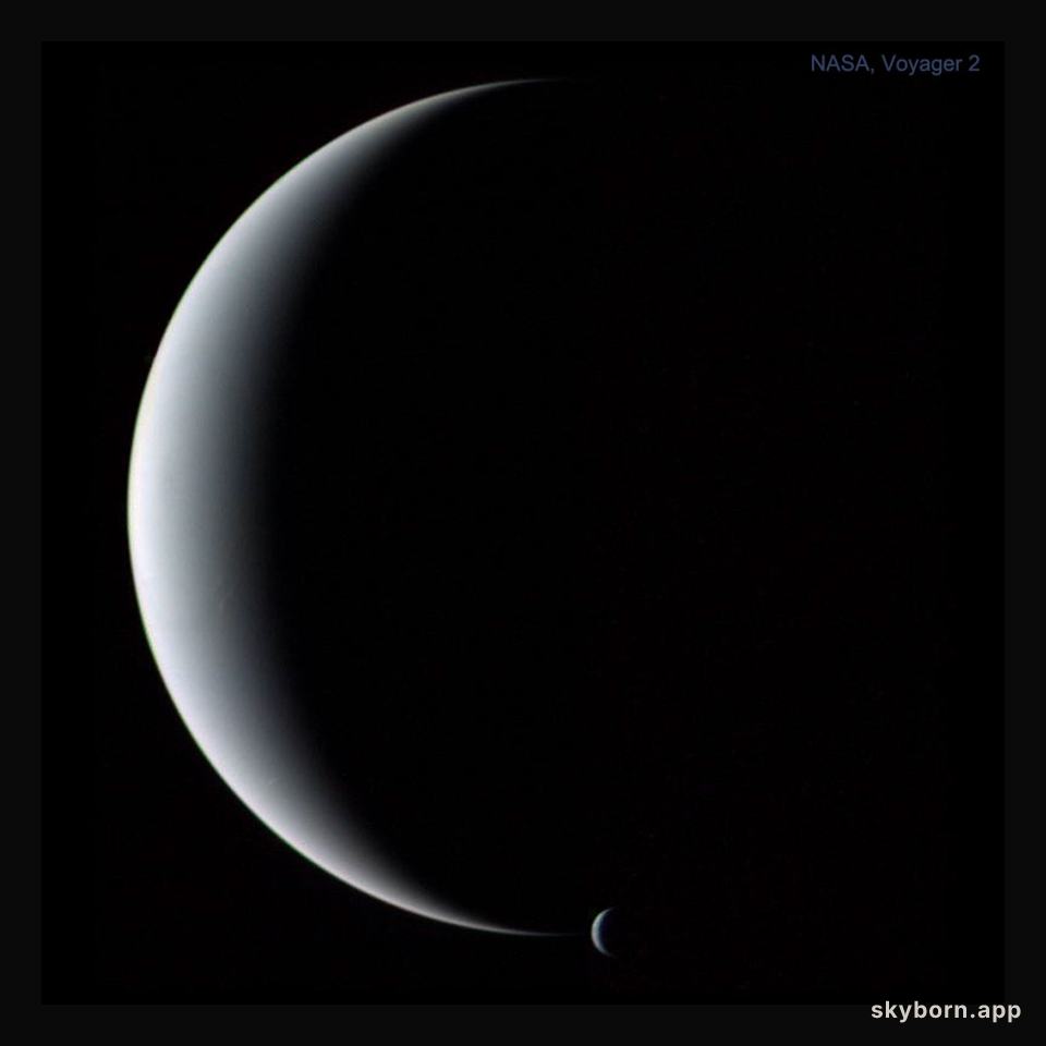 Neptune at Night