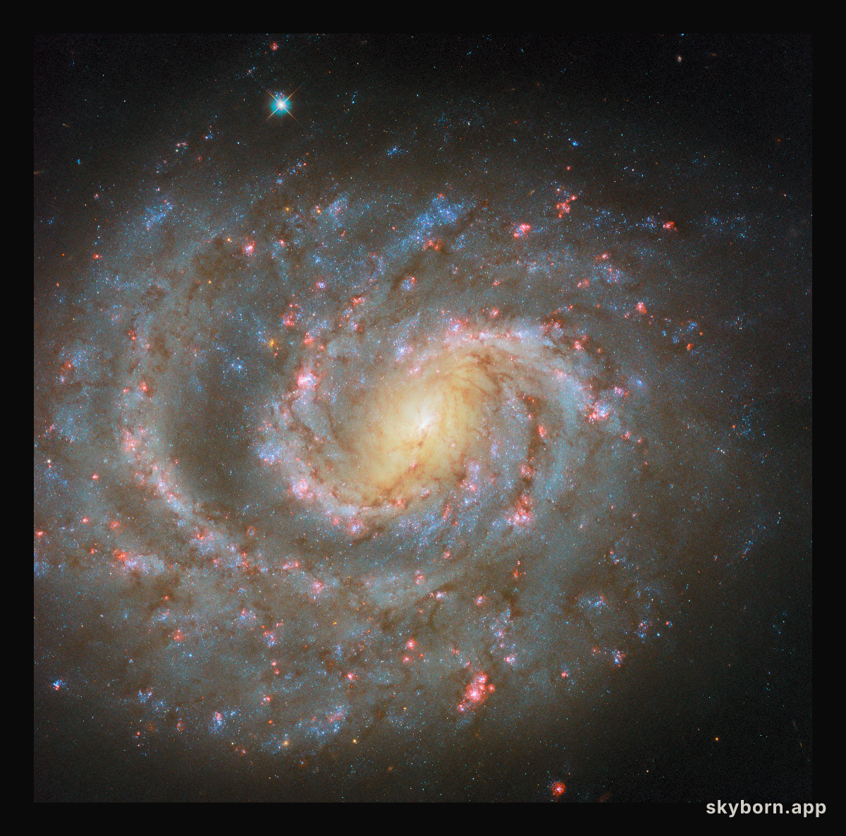 A Milky Way for dinner?