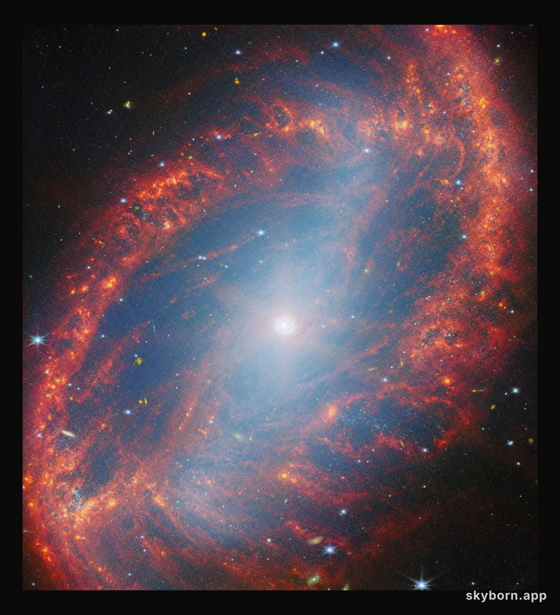 Close look at a local galaxy