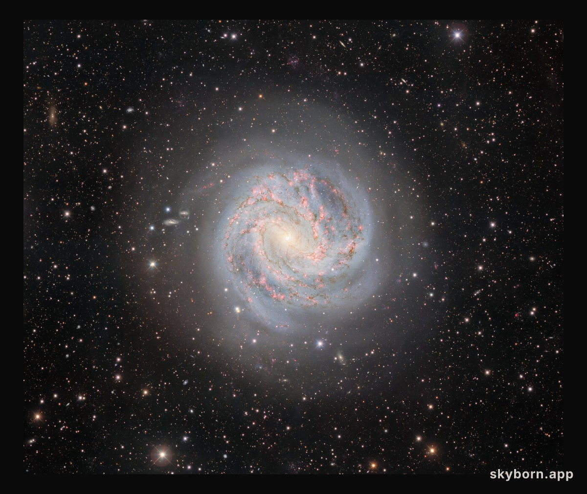 M83: The Southern Pinwheel
