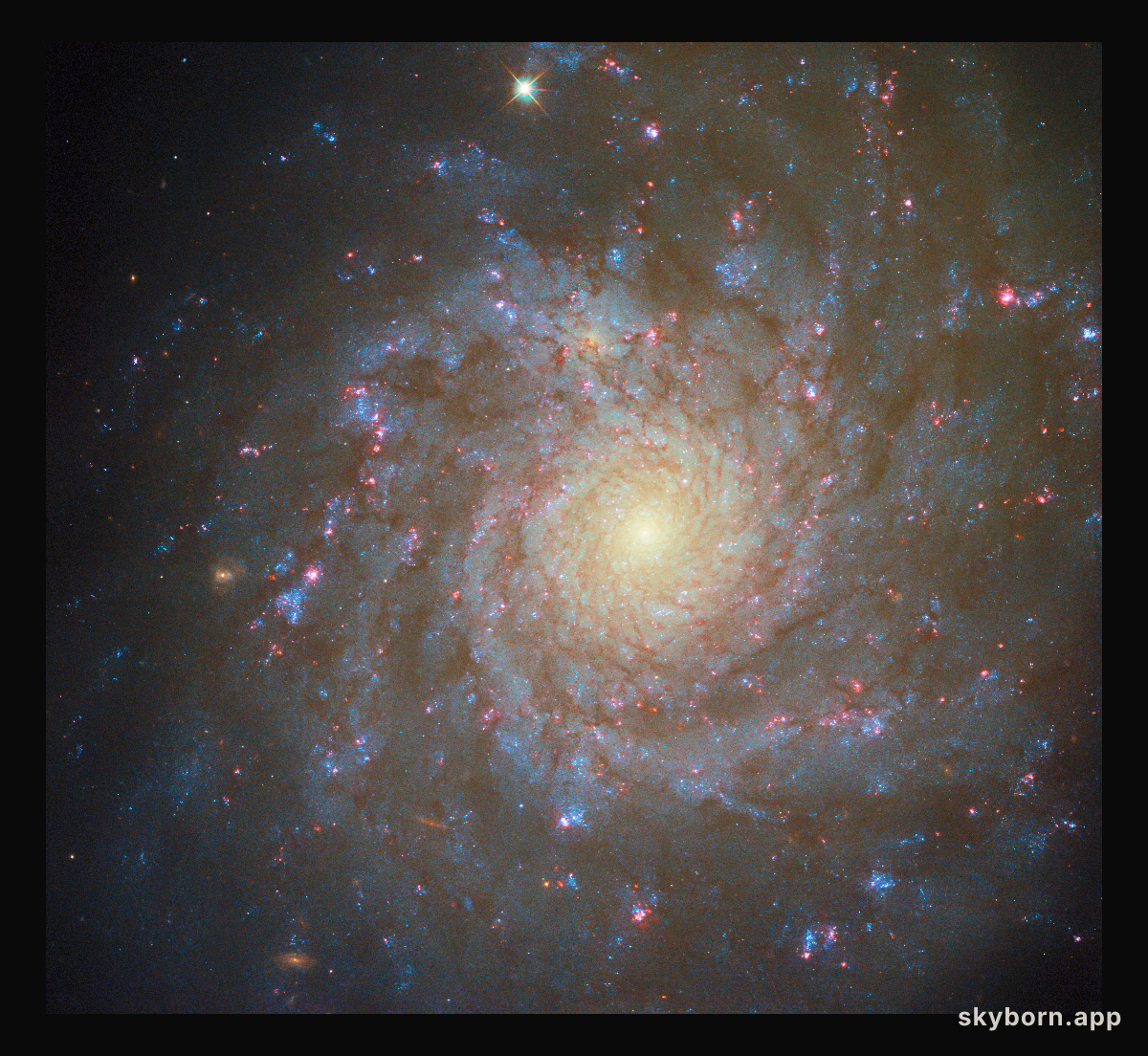 Spiralling star factory