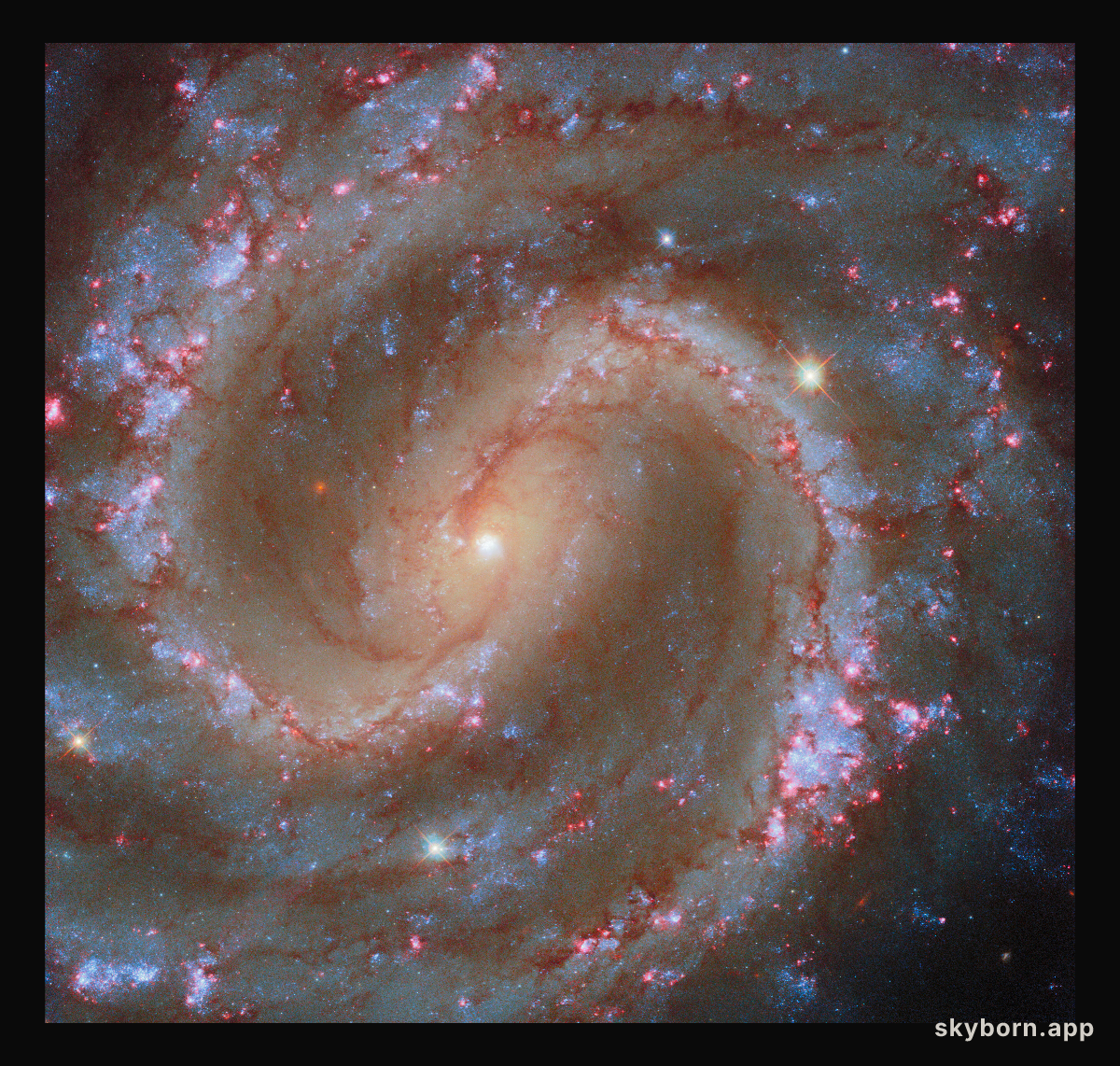 Finding star clusters in the Lost Galaxy