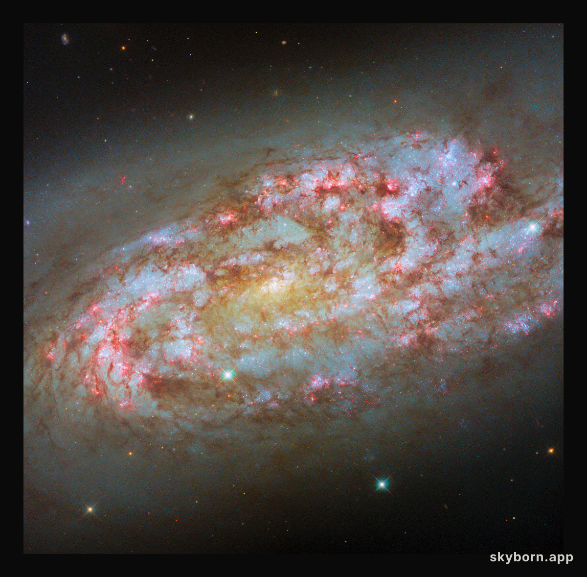 A storm of new stars