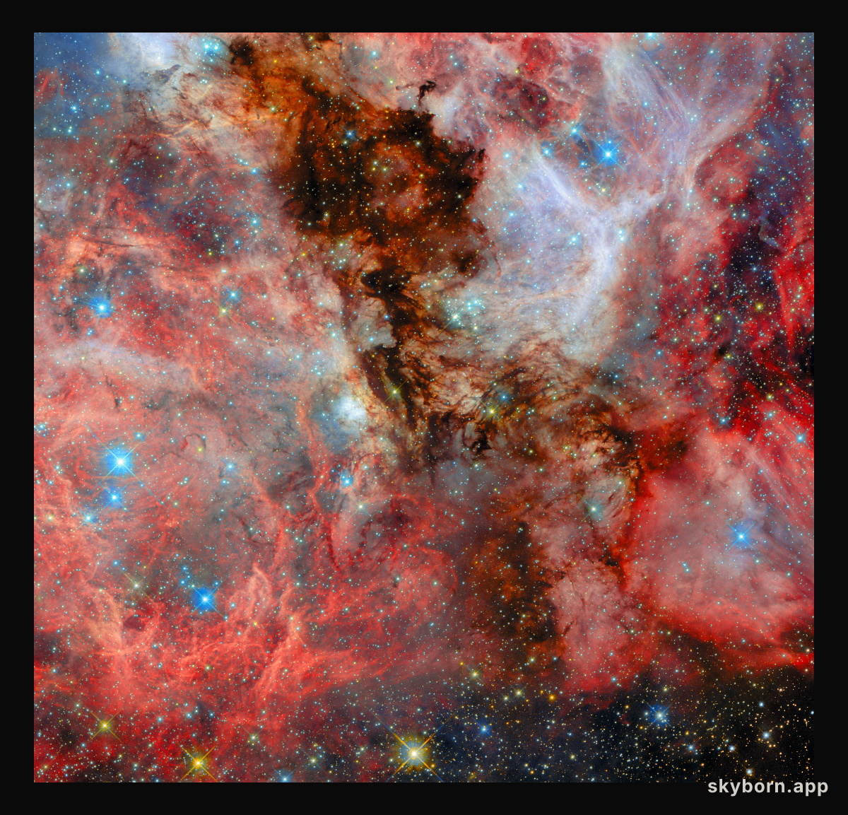 A neighbouring vista of stellar birth