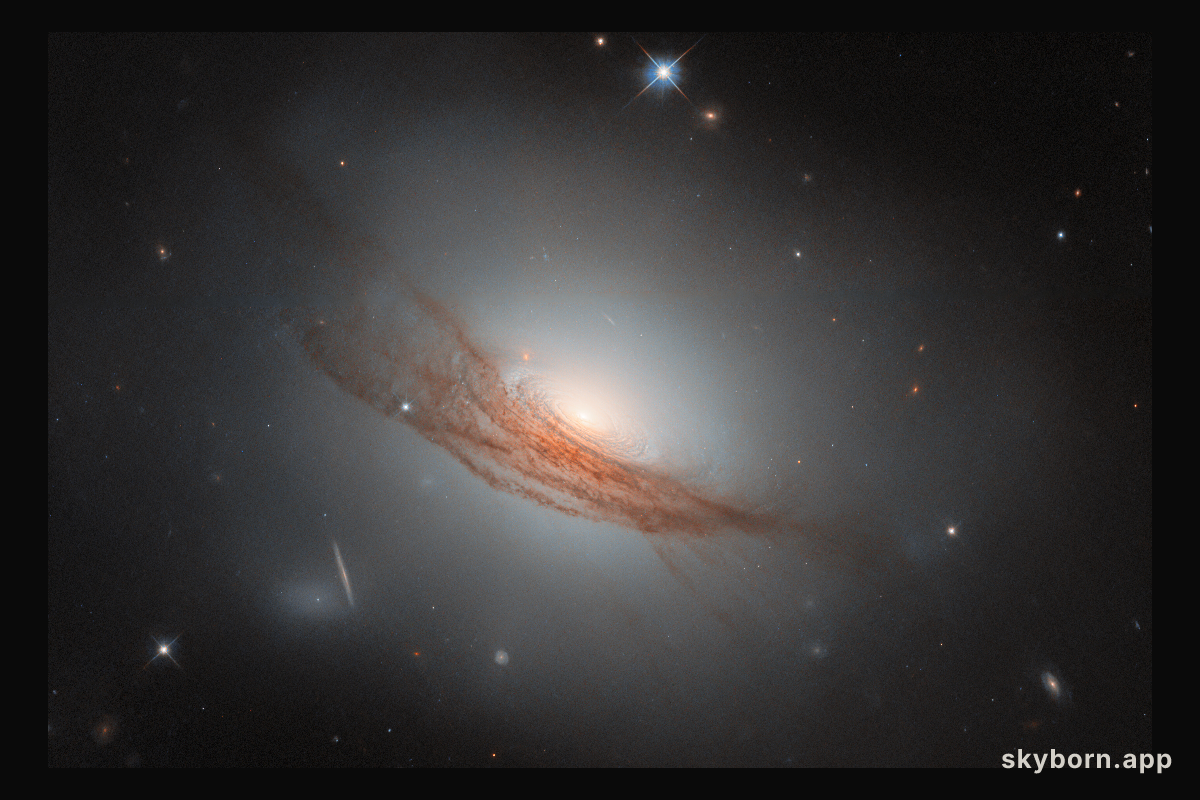 Dark rings and new light