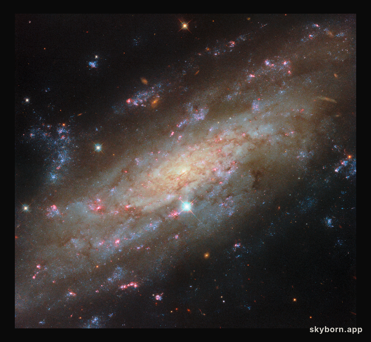 Starry spiral in a familiar neighbourhood
