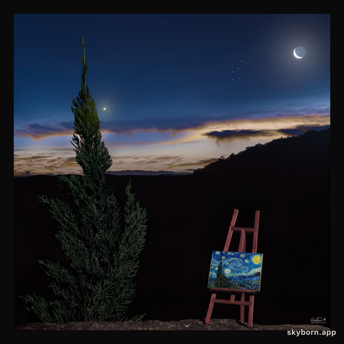 Starry Night II