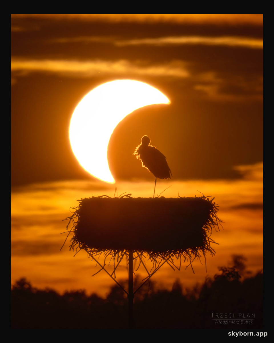 The Eclipse and the Stork